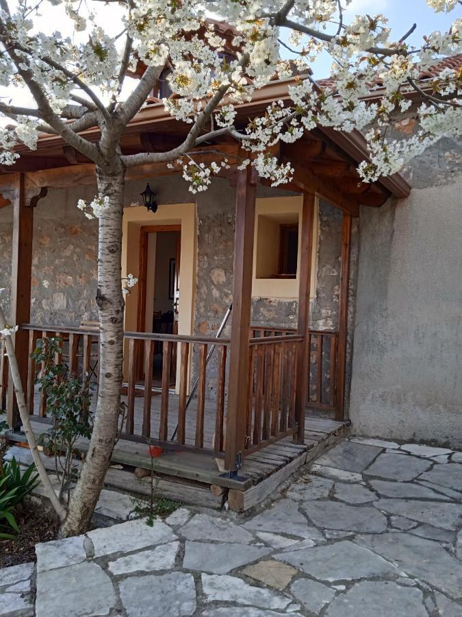 Arcadianis Lakeview Villa At Psari Arkadias Psárion Extérieur photo